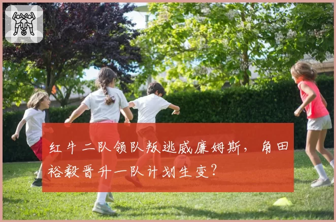 红牛二队领队叛逃威廉姆斯，角田裕毅晋升一队计划生变？