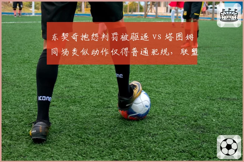 东契奇抱怨判罚被驱逐 vs 塔图姆同场类似动作仅得普通犯规，联盟双标引争议