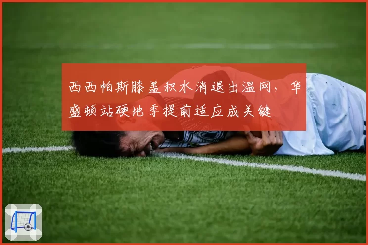 西西帕斯膝盖积水消退出温网，华盛顿站硬地季提前适应成关键